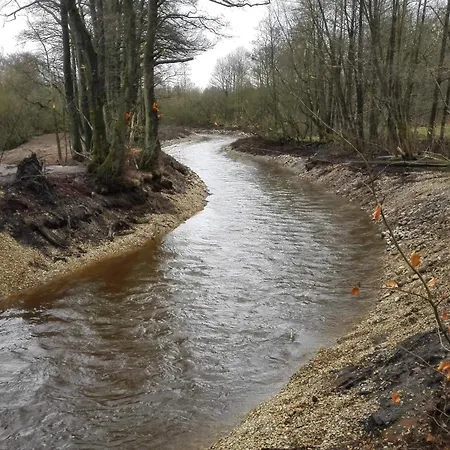 Holiday home 6 Person In Ansager-by Traum *